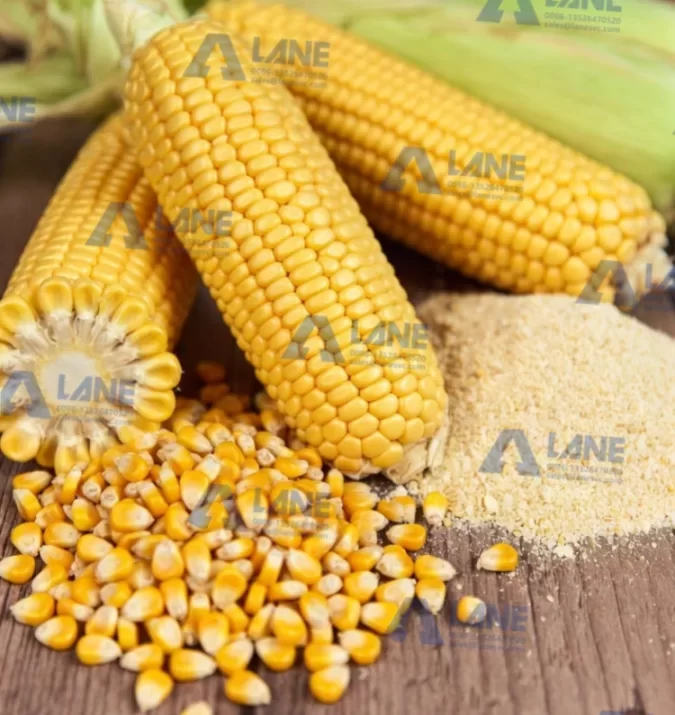 SSP fertilizer for maize