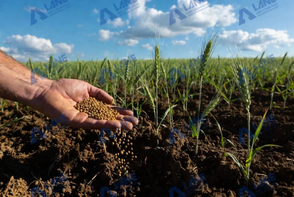 which phosphate fertilizer is best for crops